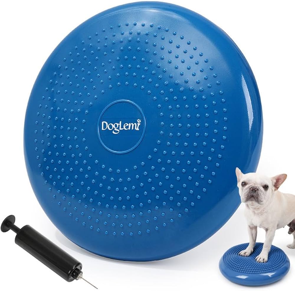 犬用　バランスディスク 大 Amazon | JON TORUDO 犬用 バランスディスク バランスボード